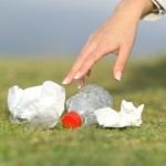 Annual Park Cleanup and Barbeque