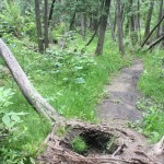 Adopt-a-Trail Program