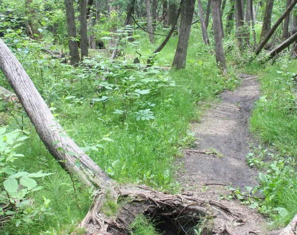 Adopt-a-Trail Program