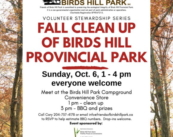 FoBHP-Clean-up-&-BBQ-2019-poster