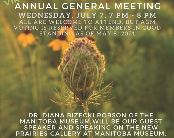 FOBHPP-AGM-poster-2021