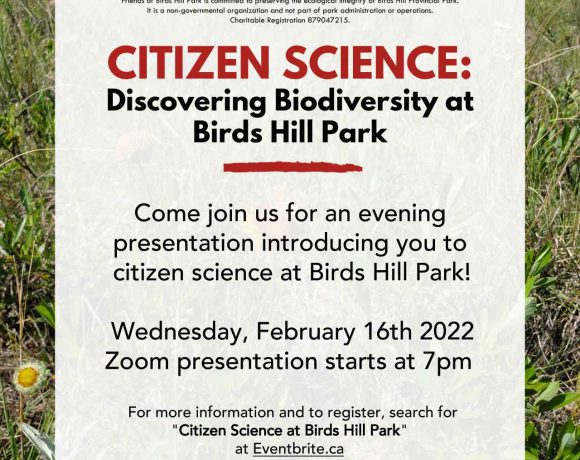 Citizen-Science-Biodiversity Birds Hill Park