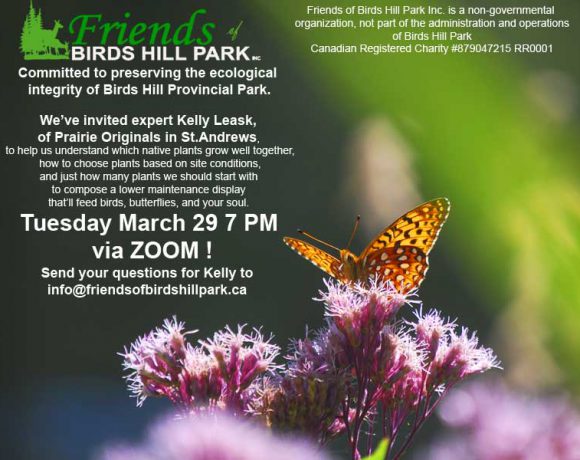 Native Prairie Gardening with Kelly Leask Poster