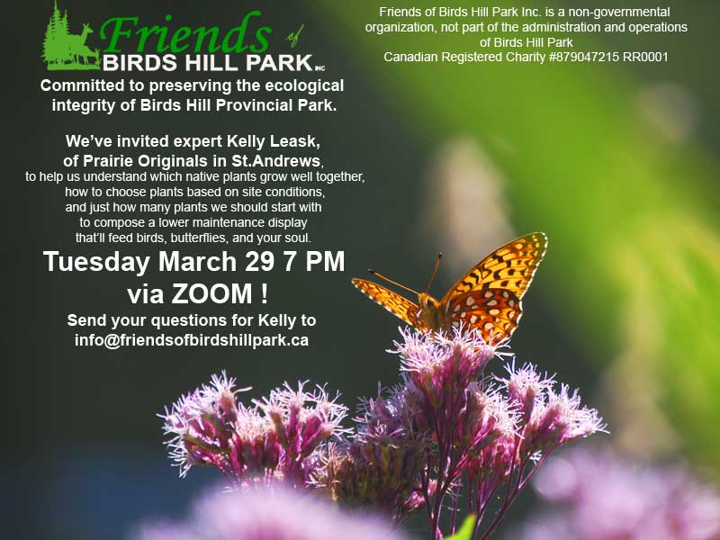 Native Prairie Gardening with Kelly Leask Poster